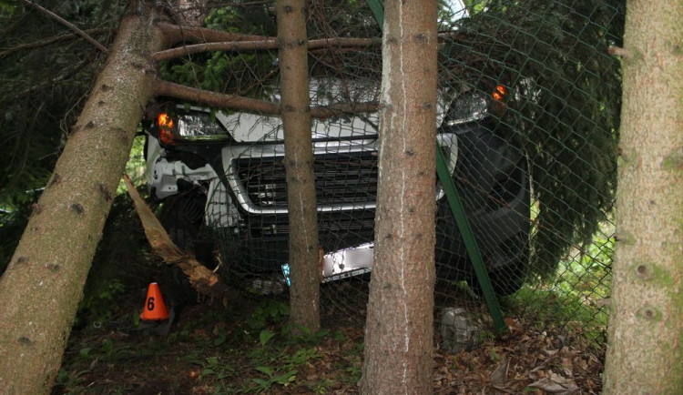 Devatenáctiletý řidič dodávky usnul během jízdy. Auto narazilo do plotu a stromů