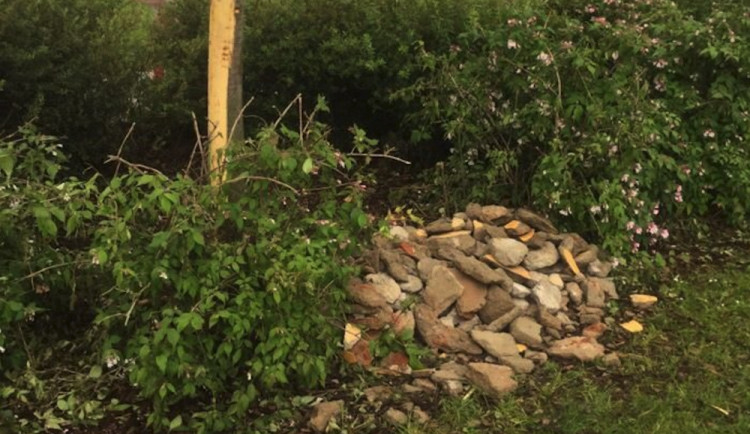 Na ulici Voskovcova někdo vysypal stavební suť, pravděpodobně autem při tom poškodil mladý strom