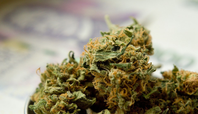 Olomoučtí celníci odhalili obchod s konopím, které putovalo poštou do Rakouska