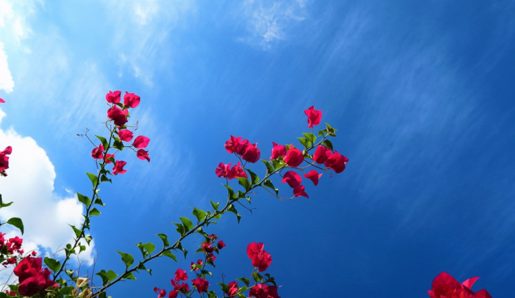 POČASÍ NA ÚTERÝ: Teploty dosáhnou až 30 stupňů a bude jasno