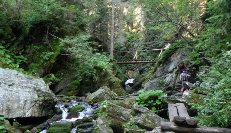 Stezka v údolí Bílé Opavy je opravena. Při pracích pomáhali i koně