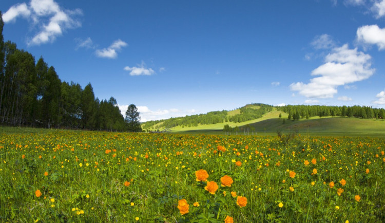 POČASÍ NA NEDĚLI: V neděli bude skoro jasno, místy se objeví bouřky