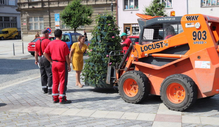 Květinové pyramidy jsou po Olomouci už i v Přerově. Stály přes dvě stě tisíc