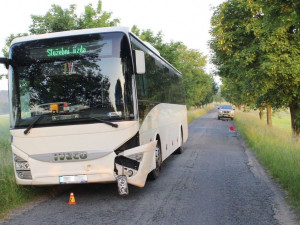 Divoké prase vběhlo do cesty autobusu. Řidičce se nepodařilo srážce zabránit a zvíře uhynulo