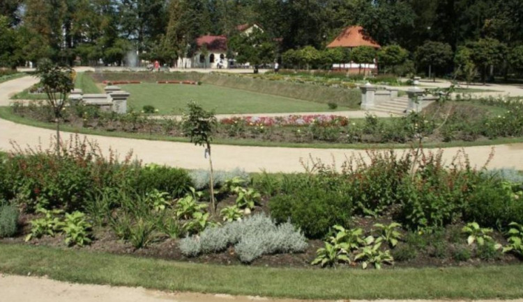 V Přerově budou nechávat vyšší trávu. Přizpůsobí i termíny sečení