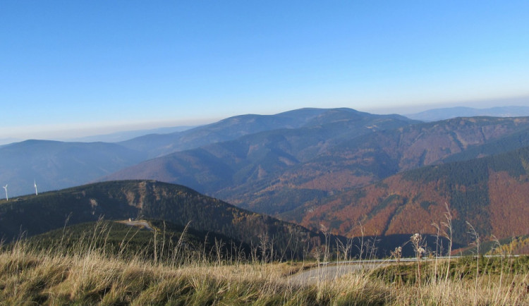 Za posledních padesát let se v CHKO Jeseníky změnila fauna i flora
