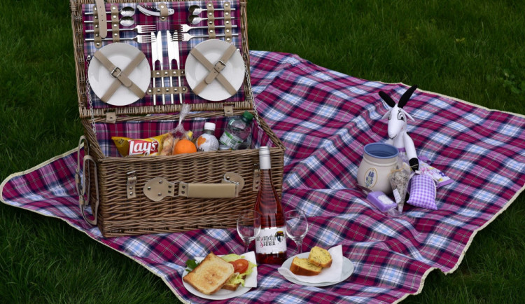 VÍKEND PODLE DRBNY: Zajděte s dětmi do pohádkového lesa, ochutnejte dobroty ze zámku nebo si zasportujte