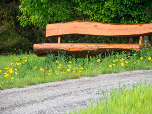 Zloděj ukradl z lesního odpočívadla dřevěnou lavičku. Do vězení může jít až na dva roky