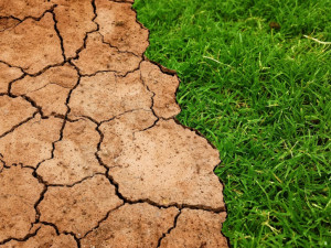 Podle odborníka se kvůli oteplování výrazně prodlouží vegetační období. Čekají nás také vichřice a extrémní přeháňky