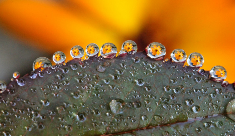 POČASÍ NA ČTVRTEK: Bude polojasno, místy zaprší a povane mírný vítr