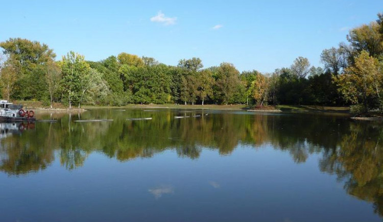 Přírodní koupaliště Laguna není zatím vhodné ke koupání