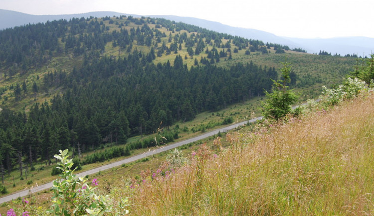 Cyklista nezvládl sjezd z Dlouhých Strání, po pádu na místě zemřel