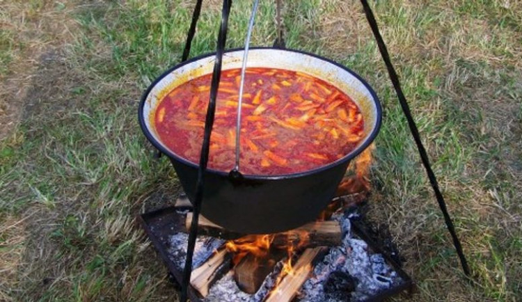 Pivní a gulášové slavnosti ve Velkém Týnci letos nabídnou Linu Mayer nebo Mňágu a Žďorp