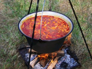 Pivní a gulášové slavnosti ve Velkém Týnci letos nabídnou Linu Mayer nebo Mňágu a Žďorp