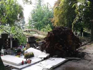 Bouřkou poničený hřbitov v Prostějově byl opět otevřen