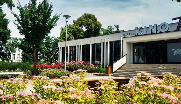 ilustrační fotografie