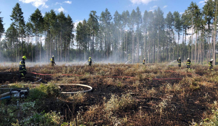 VIDEO: Čtyři desítky hasičů likvidovaly požár lesní paseky