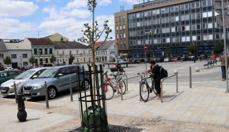 Padesát dřevin bude v Přerově zavlažováno vaky. Pomohou jim přežít během horka a sucha