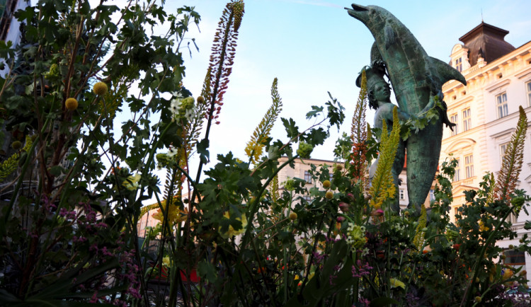 ANKETA: Arionova kašna se zazelenala květinovou výzdobou