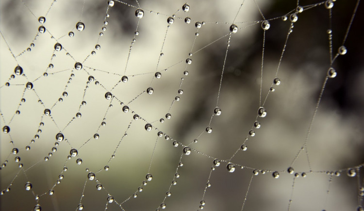 POČASÍ NA SOBOTU: Dnes bude zatažená obloha, zaprší a místy se vyskytnou bouřky