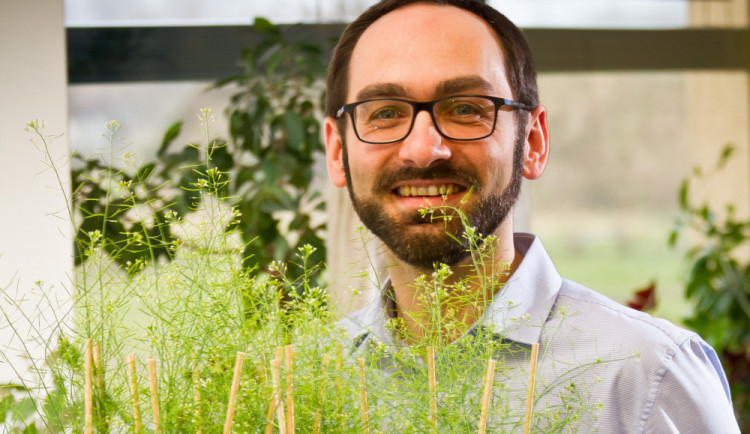 Funkci důležitého genu u rostlin rozluštili olomoučtí vědci