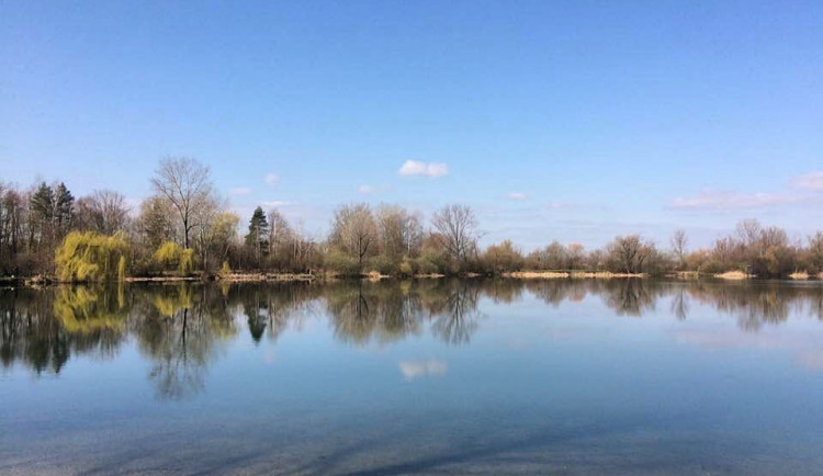 Podle hygieniků se lidé mohou stále bez obav koupat na Poděbradech a Plumlově
