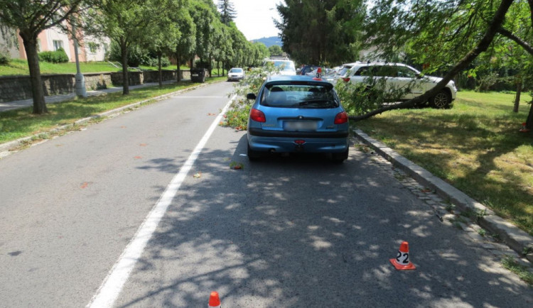 Policie žádá o pomoc svědky dopravní nehody, při které větev poškodila kapotu auta