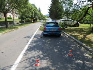 Policie žádá o pomoc svědky dopravní nehody, při které větev poškodila kapotu auta
