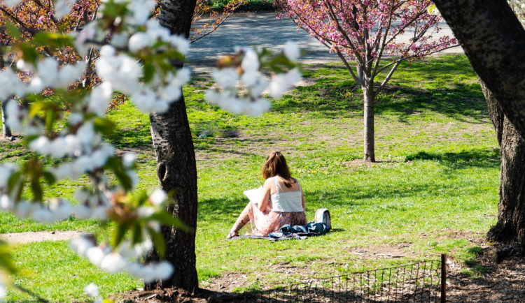 POČASÍ NA STŘEDU: Dnes nás čekají teploty okolo třiceti stupňů a jasná obloha