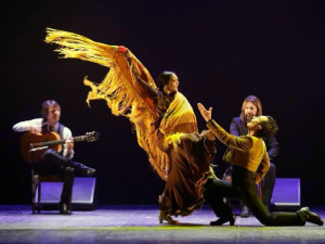 VÍKEND PODLE DRBNY: Zajděte na flamencové vystoupení Davida Péreze nebo se zúčastněte mistrovství ve sjezdu na tobogánu