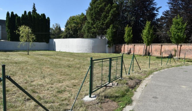 V Prostějově vzniká více psích louček. Jednalo se i o agility hřišti