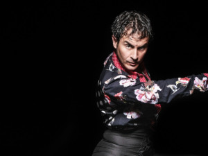 Sevillský tanečník Pérez zaplnil pavilon A. V Olomouci vyvrcholil festival Colores Flamencos