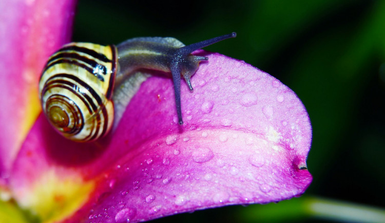 POČASÍ NA ÚTERÝ: Úterý bude ve znamení polojasné oblohy a deště