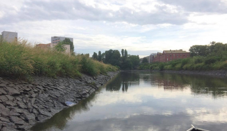 V řece Moravě v Olomouci uhynuly ryby. Situaci řeší Česká inspekce životního prostředí