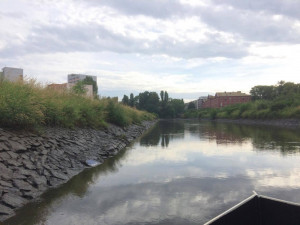 V řece Moravě v Olomouci uhynuly ryby. Situaci řeší Česká inspekce životního prostředí