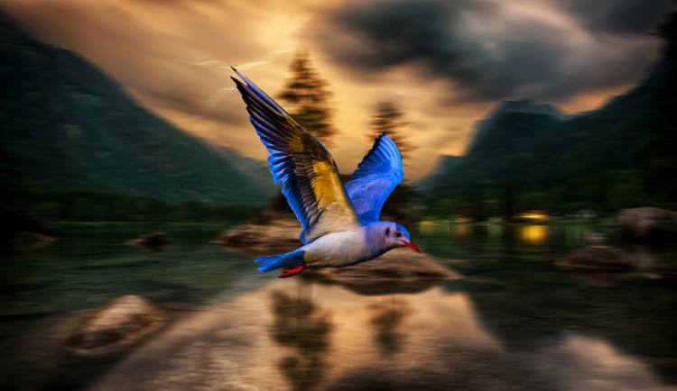 POČASÍ NA SOBOTU: V sobotu bude zataženo, místy se objeví bouřky a zaprší