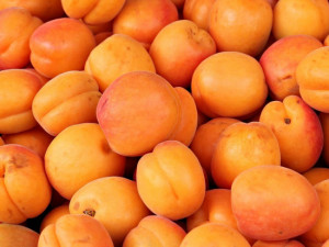 Zloděj ukradl z ovocného sadu půl tuny meruněk. Napáchal tak škodu za několik tisíc