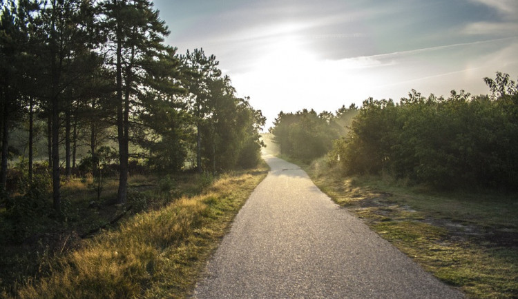 Z Olomouce do Štěpánova povede cyklostezka. Stavba by měla začít v roce 2023