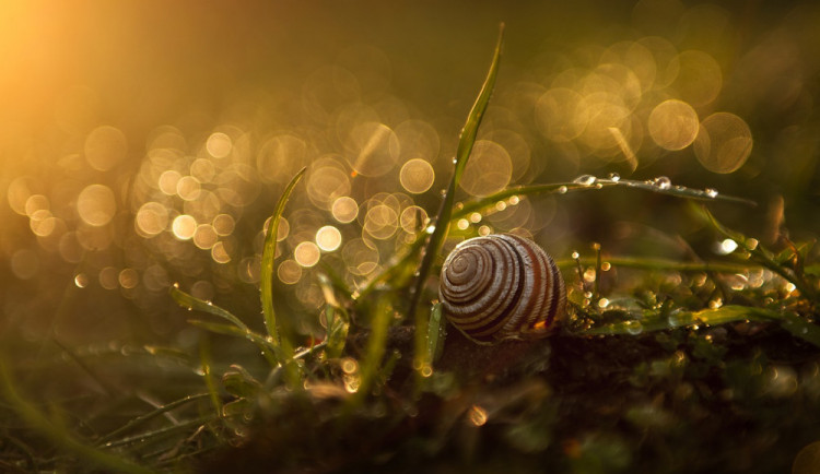 POČASÍ NA NEDĚLI: Povane slabý vítr a bude skoro jasno až polojasno