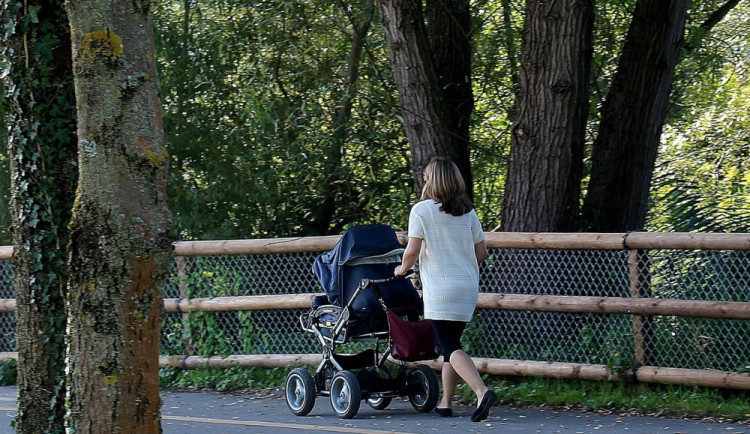 Zlodějka v obchodě dala do kočárku lahve whisky. Když se spustil alarm, nechala na místě kočárek s dítětem a utekla