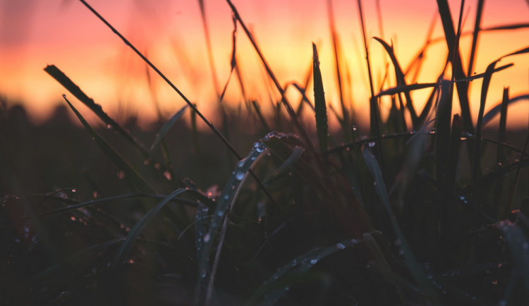 POČASÍ NA PONDĚLÍ: Začátek týdne bude ve znamení polojasné až oblačné oblohy a deště