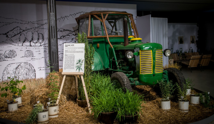 ANKETA: Letní Flora přilákala přes 20 tisíc návštěvníků. Jak se vám líbila?