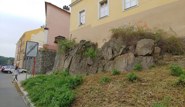 Aktivisté ze Zachraňme Floru Olomouc ozdobí skálu u Michalských schodů skalničkami. Bude jich až dvě stě