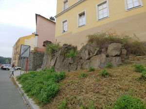 Aktivisté ze Zachraňme Floru Olomouc ozdobí skálu u Michalských schodů skalničkami. Bude jich až dvě stě