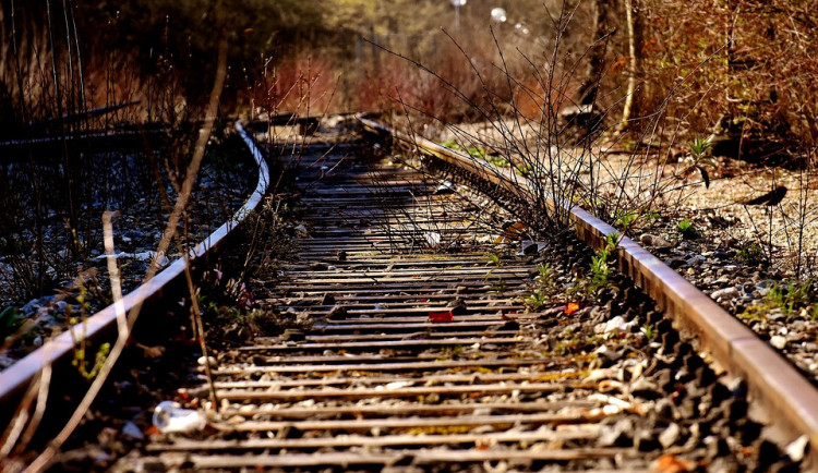 Nákladní vlak dnes ráno narazil do stromu, který spadl na koleje