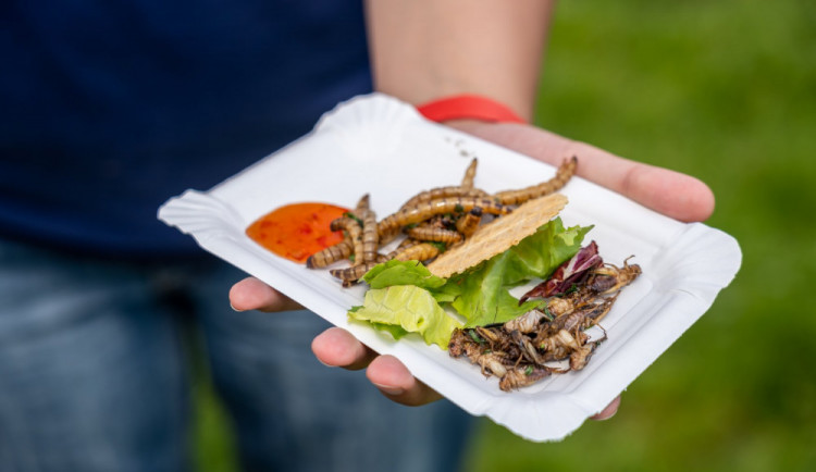 Čtvrtý ročník Extrem food festivalu v Olomouci přinese exotickou kuchyni, cestování i adrenalinové zážitky