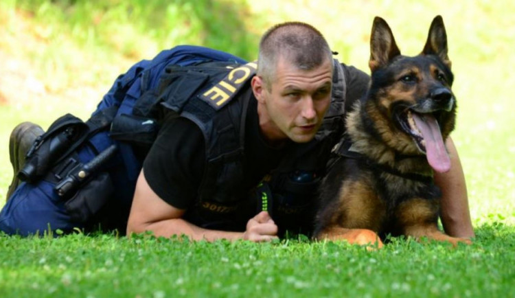 Zloděje kol na útěku vyčmuchala  v křoví policejní fenka Kora