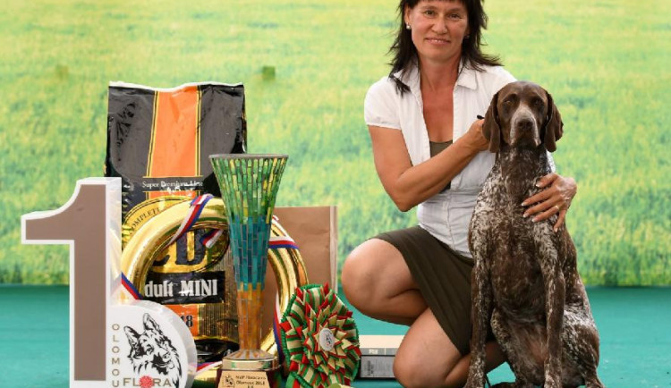 Na Výstavišti Flora se koná psí výstava Floracanis, k vidění bude přes dva a půl tisíce pejsků