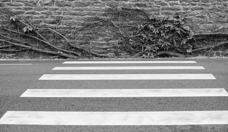 ilustrační fotografie