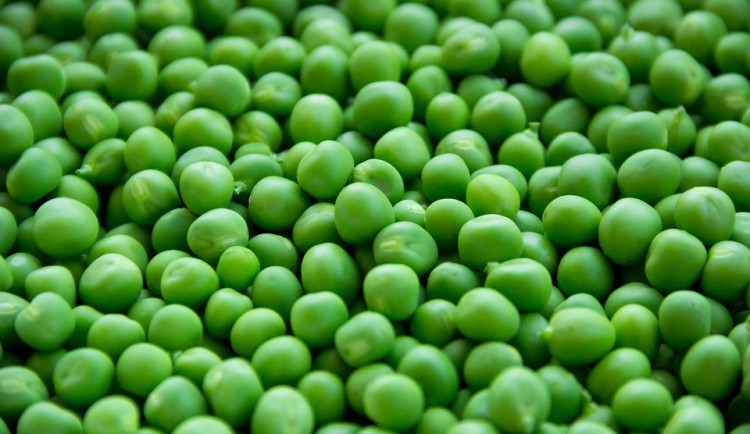 ilustrační fotografie